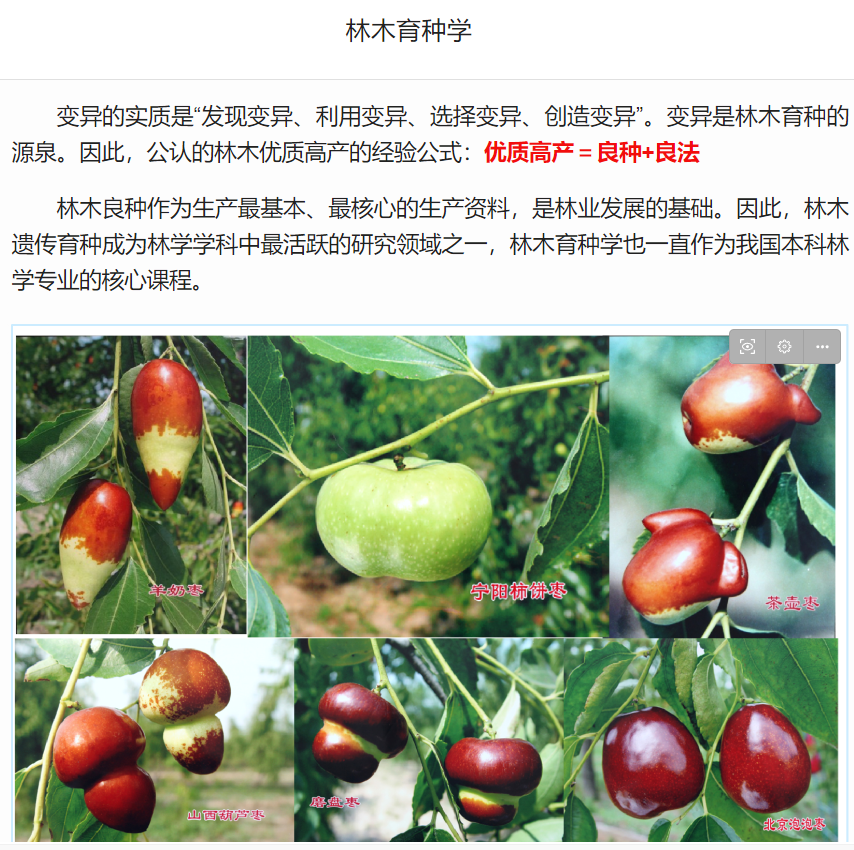 bb3fdfcedc754622b7b7442c161b0b6